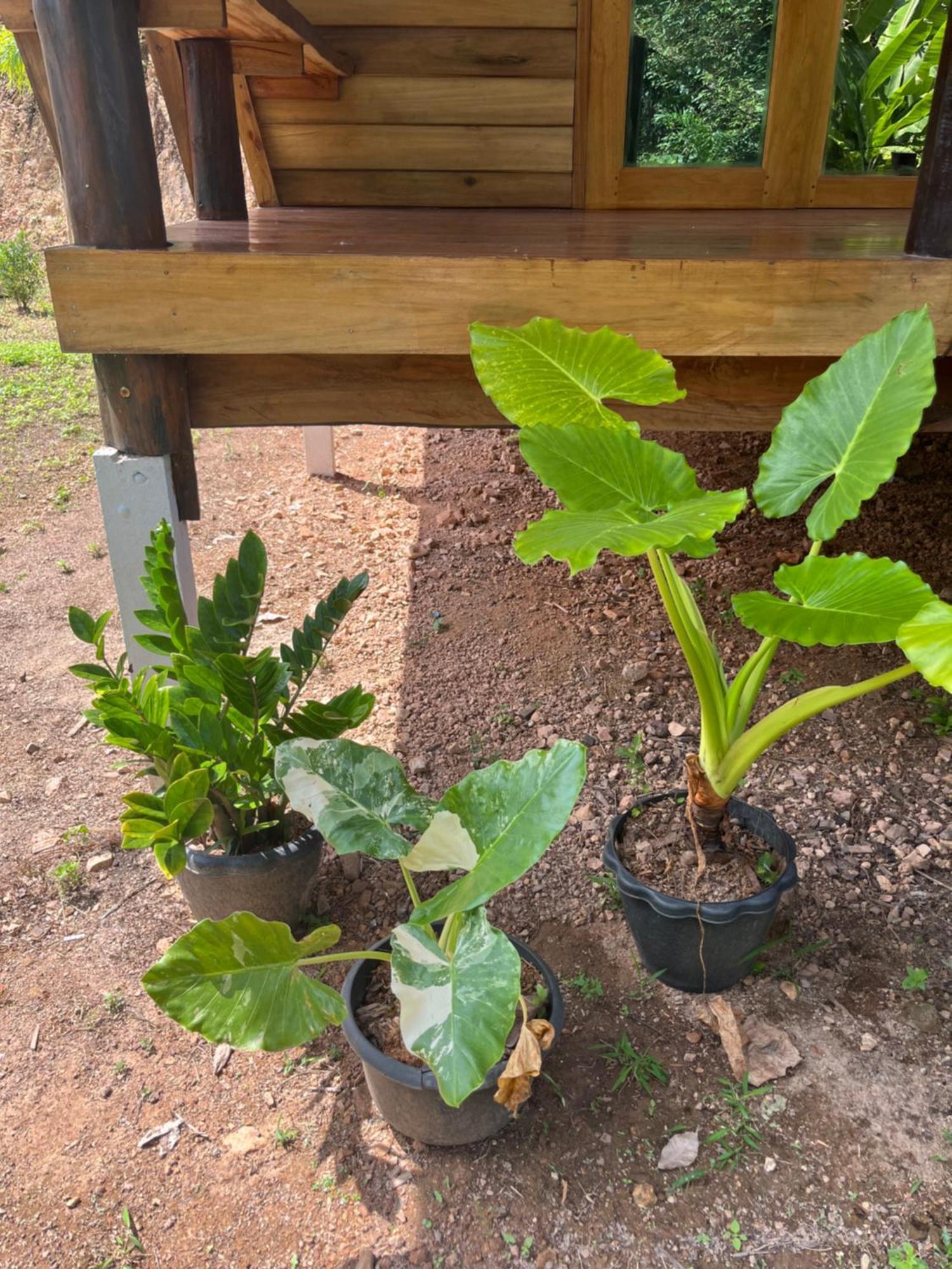 Koh Jum Home Stay Εξωτερικό φωτογραφία
